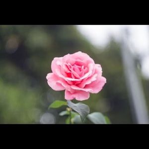 Meet your Posher, Linda